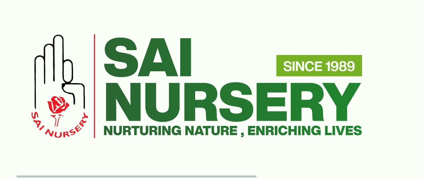 Sai Nursery